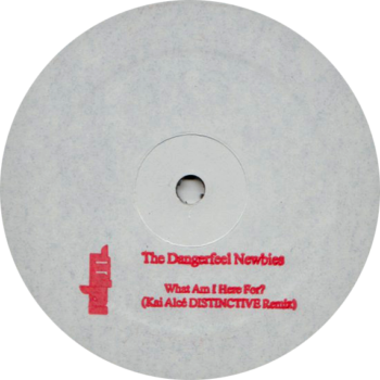 The Dangerfeel Newbies "What Am I Here For?" (Kai Alcé DISTINCTIVE Remixes)